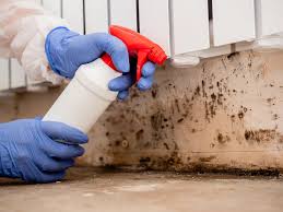 Best Asbestos and Lead Testing During Mold Inspection  in Timmonsville, SC